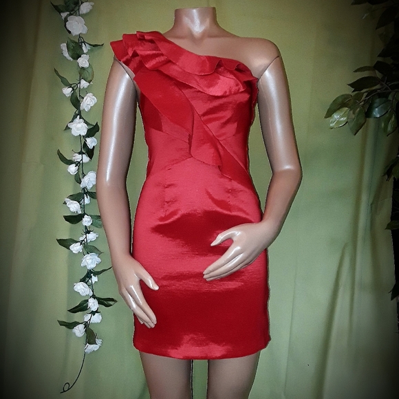 Papaya Dresses & Skirts - Papaya Red Mini Dress